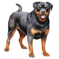 Watercolor Rottweiler Fabric Panel 7