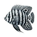 Watercolor Sea Fish Fabric Panel 7