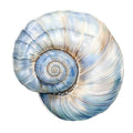 Watercolor Sea Shells Fabric Panel 12