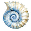 Watercolor Sea Shells Fabric Panel 19