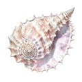 Watercolor Sea Shells Fabric Panel 21