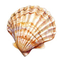 Watercolor Sea Shells Fabric Panel 28