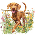 Watercolor Vizslas Fabric Panel 12