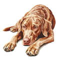 Watercolor Vizslas Fabric Panel 20