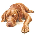 Watercolor Vizslas Fabric Panel 21