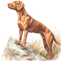Watercolor Vizslas Fabric Panel 31