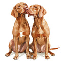 Watercolor Vizslas Fabric Panel 33