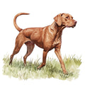 Watercolor Vizslas Fabric Panel 4