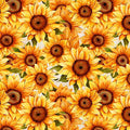 White Sunflower Serenade Packed Cotton 44/45 Fabric Per Yard