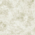 White Wash Quilt Back - Grain Stone 108" wide Fabric per yard