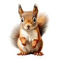 Woodland Baby Squirrel 2 Fabric Panel
