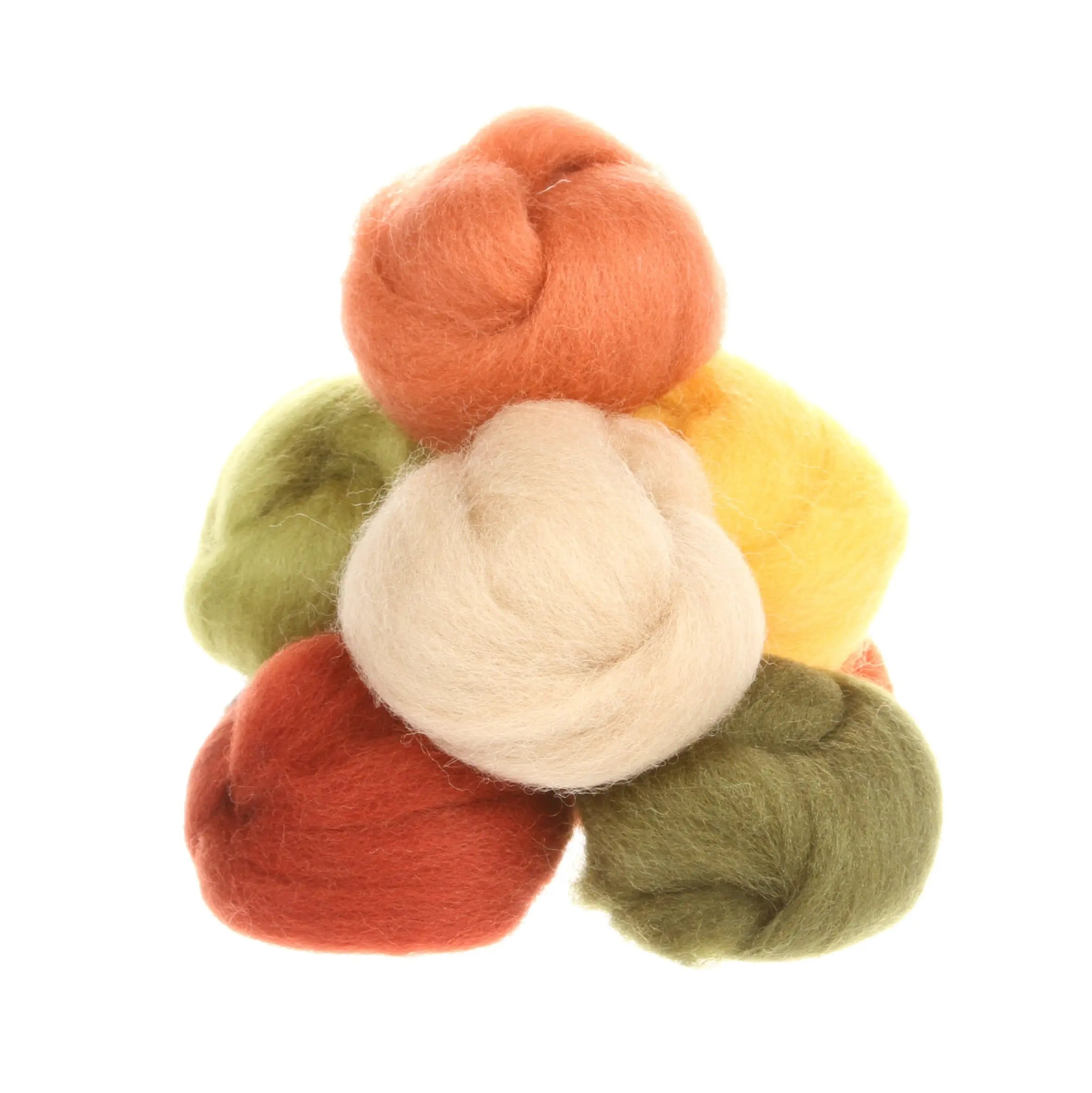 Wool Roving Asst Autumn