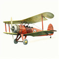 Wright Biplane Fabric Panel 28