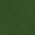 Evergreen Cuddle 3 58/60" Solid Minky Fabric Per Yard