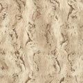 Sandshell Luxe Cuddle Wild Rabbit 58/60" Fabric Per Yard