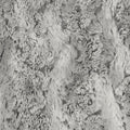 Silver Lining Luxe Cuddle Wild Rabbit 58/60" Fabric Per Yard
