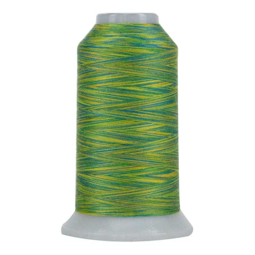 9055 Summer Days Omni Variegated Polyester Thread - Linda's Electric Quilters