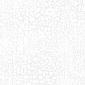 White Crackle Cotton Wideback Fabric Per Yard - Linda's Electric Quilters