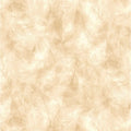 Natural Beige Etchings Cotton Wideback Fabric Per Yard Oasis Fabrics