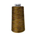 F255 Corn Field Signature Cotton Variegated Thread - Linda's Electric Quilters