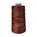 F256 Southwest Signature Cotton Variegated Thread - Linda's Electric Quilters