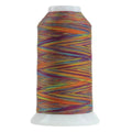 9032 Ole Omni Variegated Polyester Thread - Linda's Electric Quilters