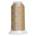 5002 Marble Fantastico Variegated Polyester Thread - Linda's Electric Quilters