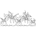 Pumpkin Border - Linda's Electric Quilters